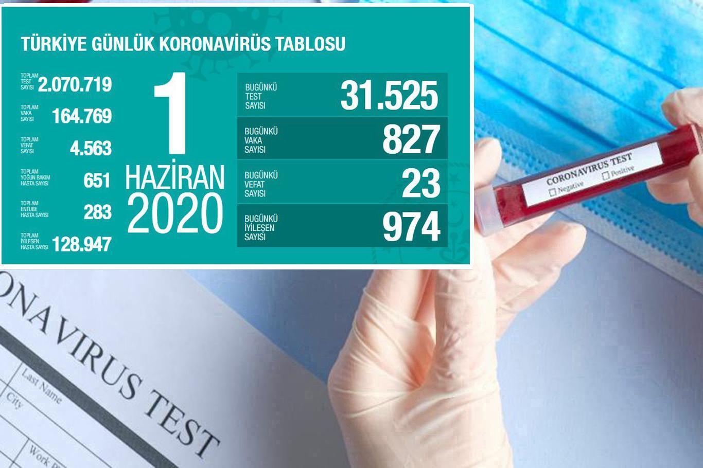 Turkey’s daily death toll from coronavirus drops to 23